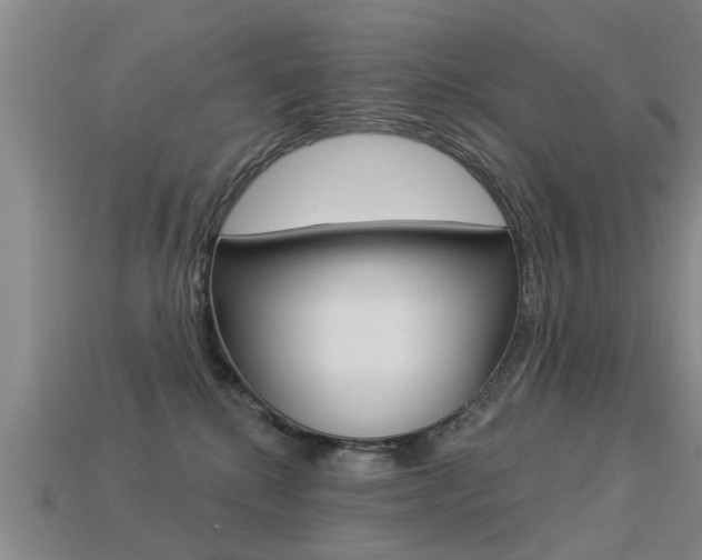 X0000113340280200909151012