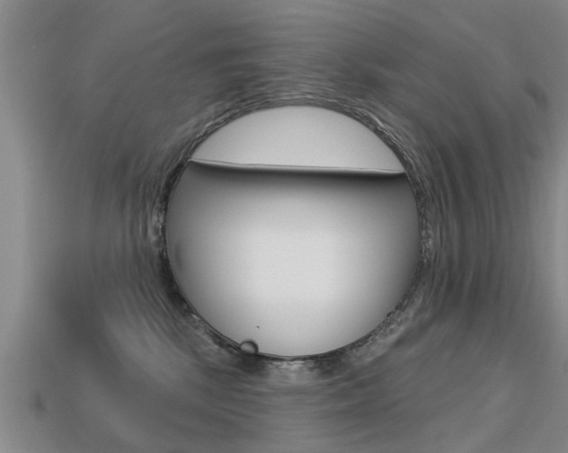 X0000113340281200909151012