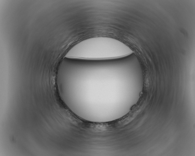 X0000113340282200909151012