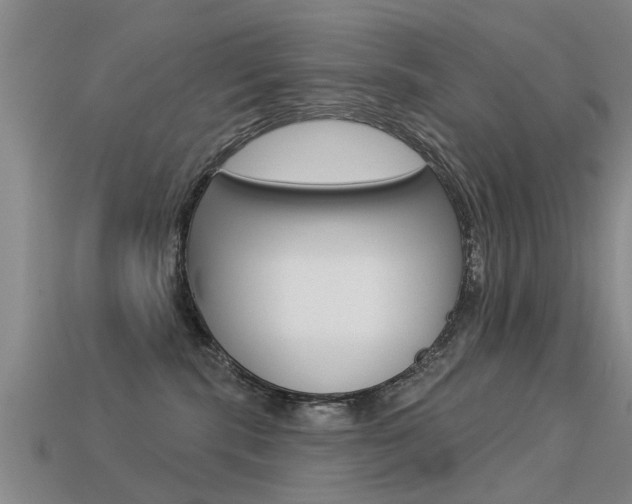 X0000113340283200909151012