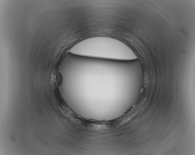 X0000113340284200909151012