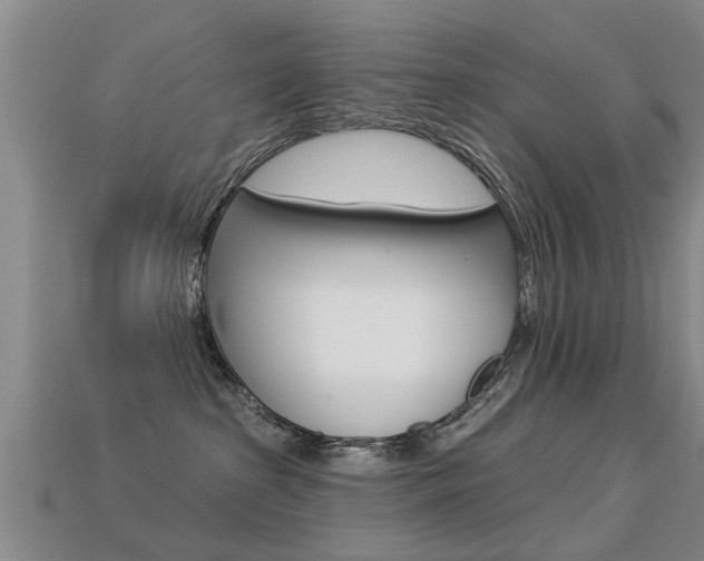 X0000113340285200909151012