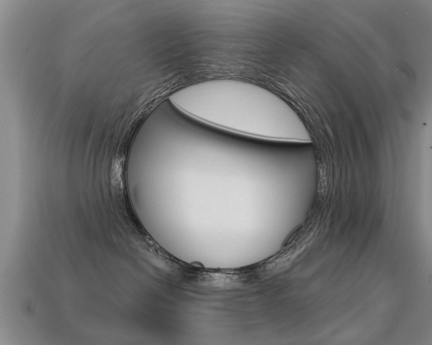 X0000113340286200909151012