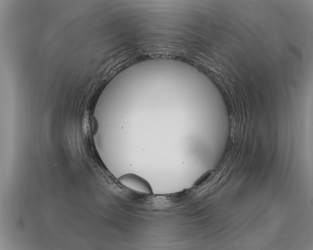 X0000113340287200909151012