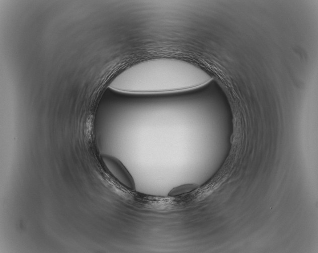 X0000113340288200909151012