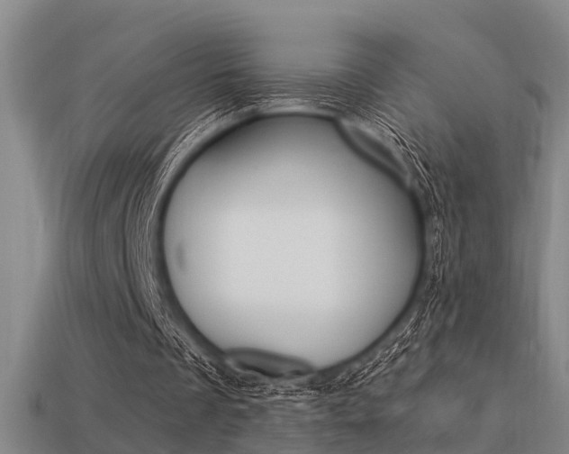 X0000113340289200909151011