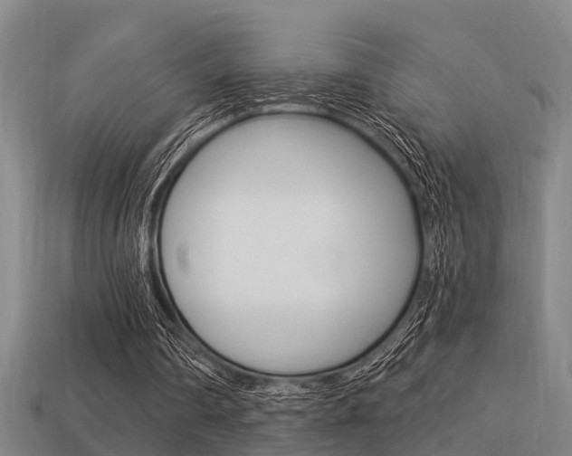 X0000113340290200909151011