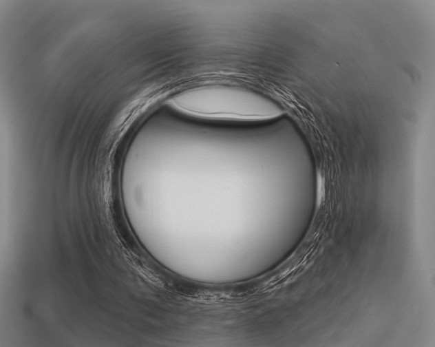 X0000113340291200909151011