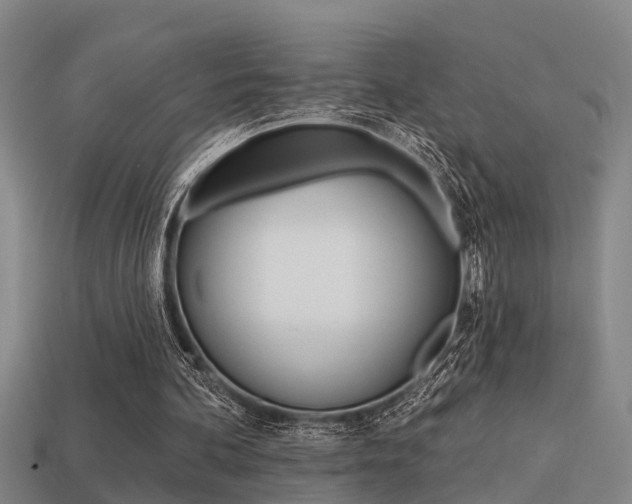 X0000113340292200909151011