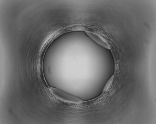 X0000113340293200909151011