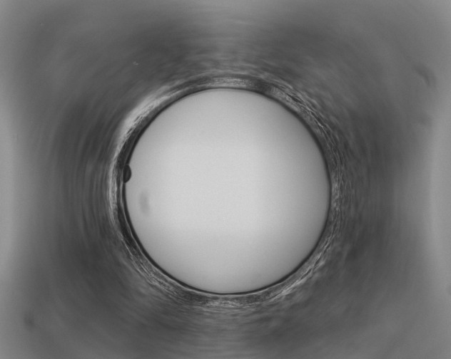 X0000113340294200909151011