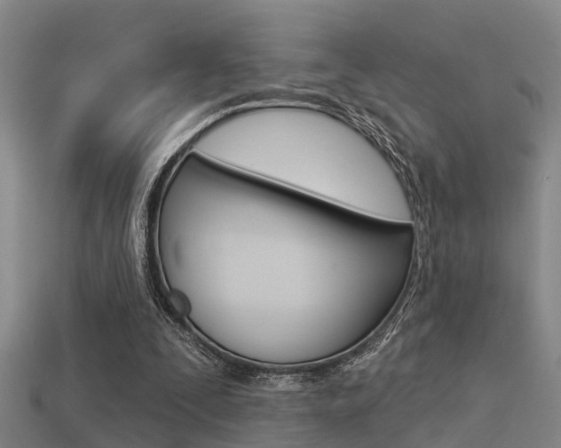 X0000113340295200909151011