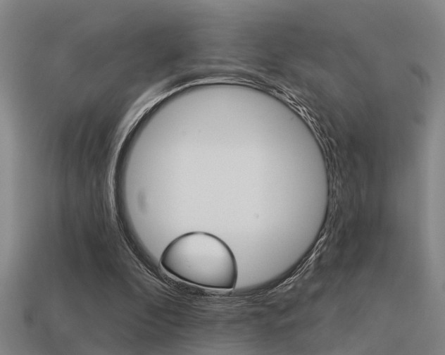 X0000113340296200909151011