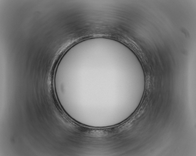 X0000113340298200909151011