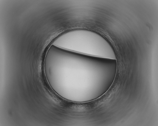 X0000113340299200909151011