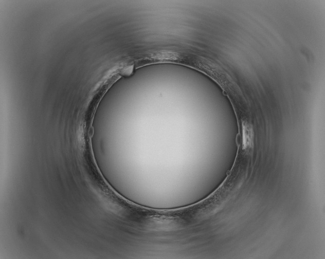 X0000113340300200909151011