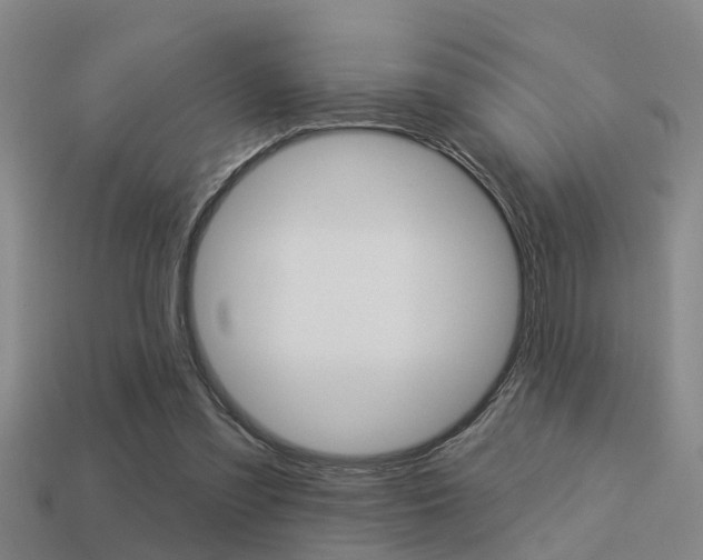 X0000113340301200909151011