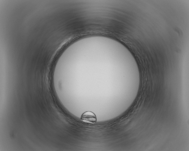 X0000113340304200909151011