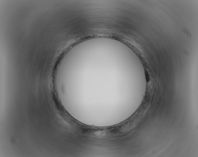 X0000113340306200909151011
