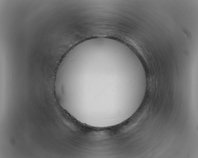 X0000113340307200909151011