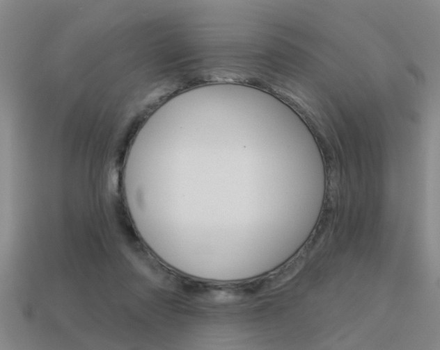 X0000113340310200909151011
