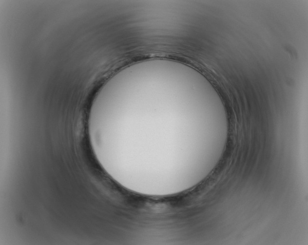 X0000113340311200909151011