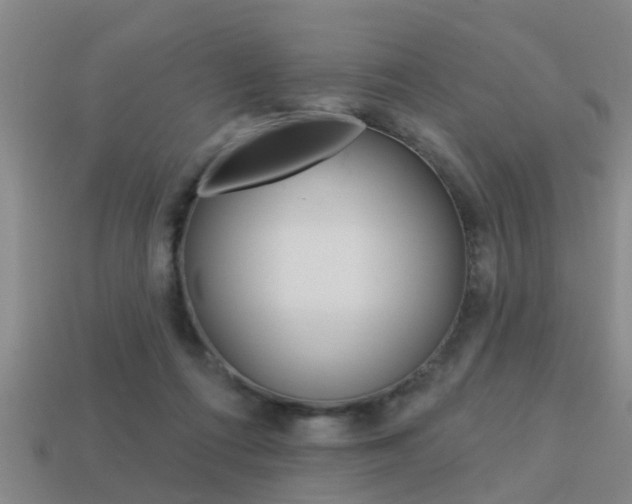 X0000113340312200909151011