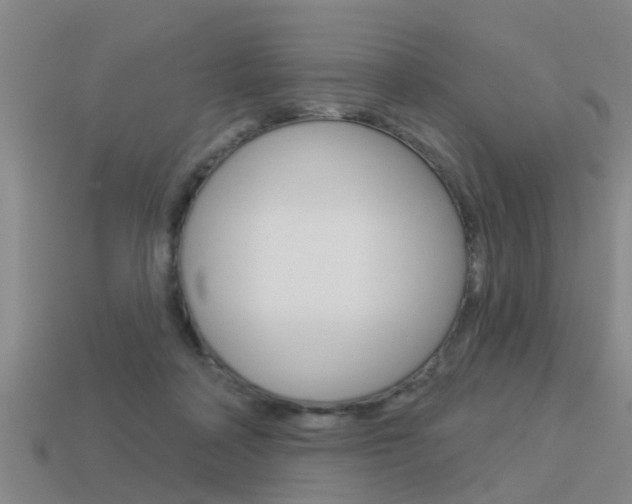 X0000113340314200909151011