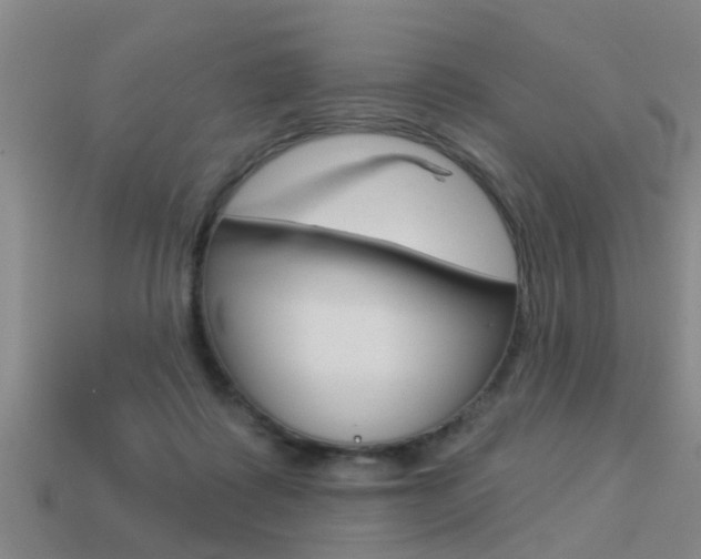 X0000113340315200909151011