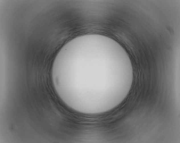 X0000113340316200909151011