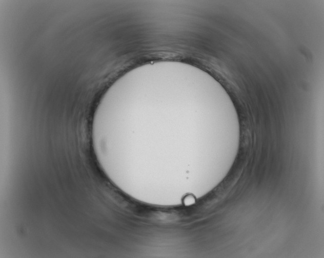 X0000113340317200909151011
