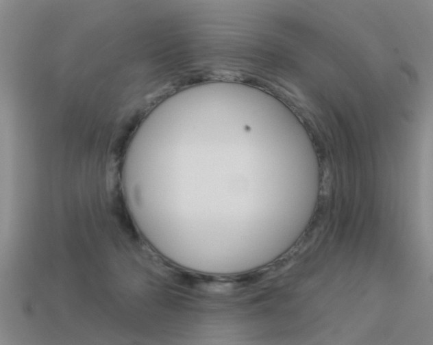 X0000113340318200909151011