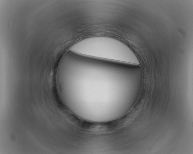 X0000113340319200909151011