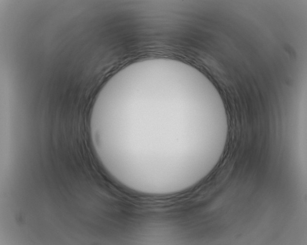 X0000113340320200909151011