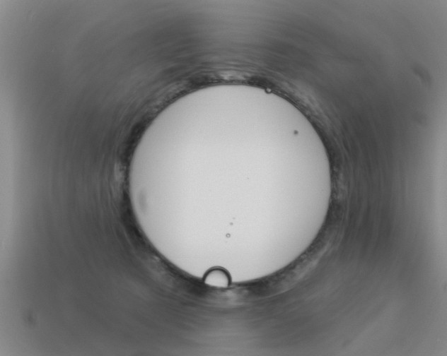 X0000113340321200909151011