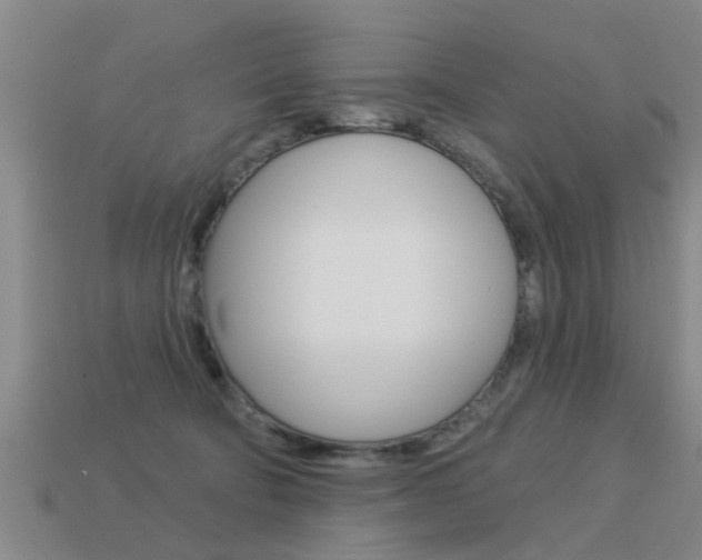X0000113340322200909151011