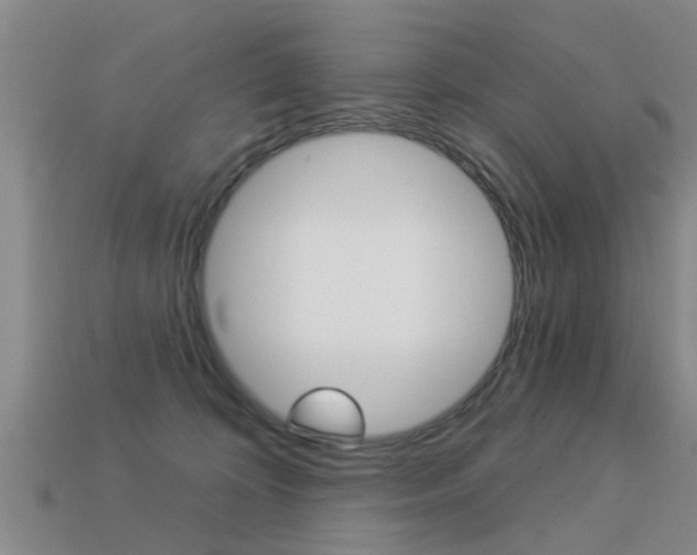 X0000113340324200909151011
