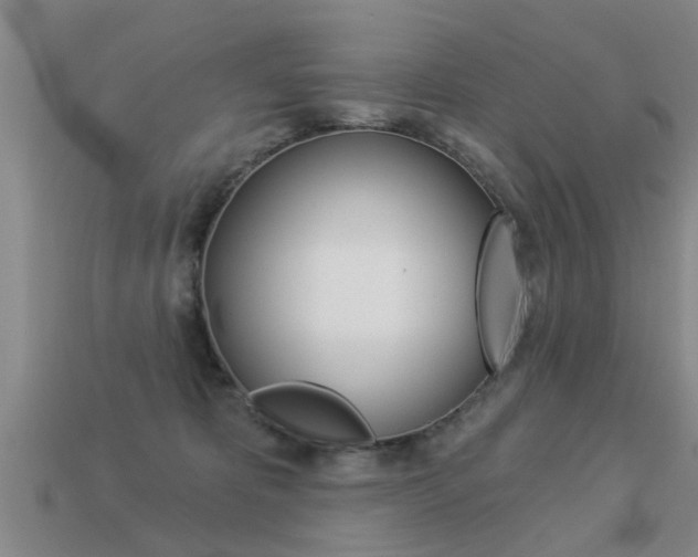 X0000113340325200909151011