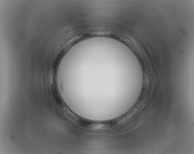 X0000113340326200909151011