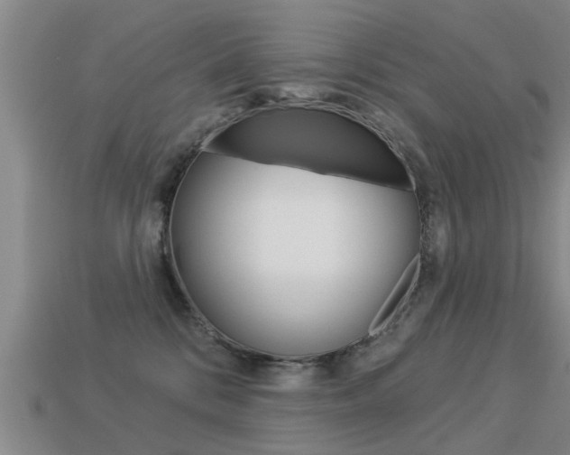X0000113340328200909151011