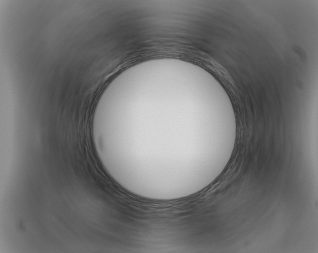 X0000113340329200909151011