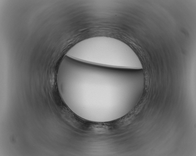 X0000113340331200909151011