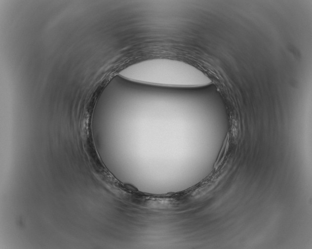 X0000113340332200909151011