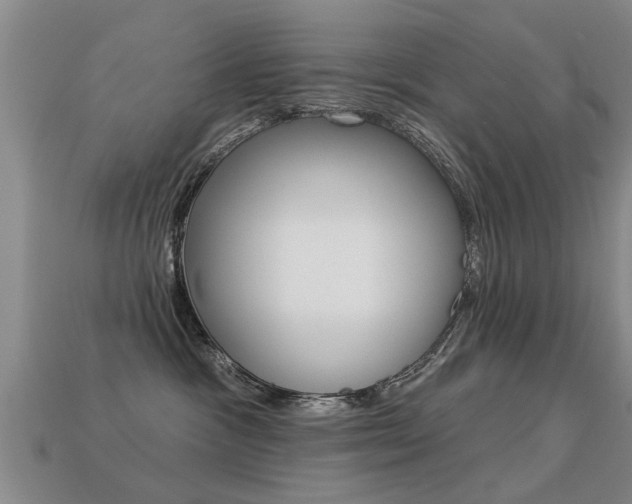X0000113340333200909151011