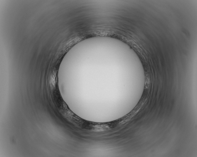 X0000113340334200909151011