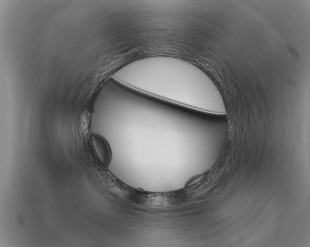 X0000113340335200909151011