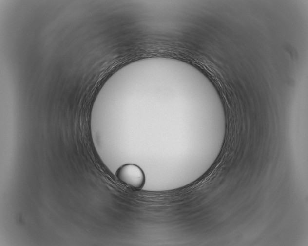 X0000113340336200909151011