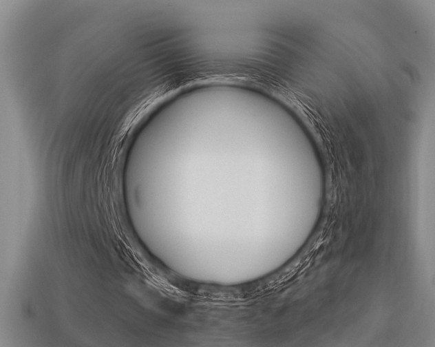 X0000113340337200909151010