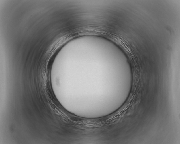 X0000113340338200909151010
