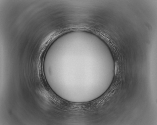 X0000113340339200909151010